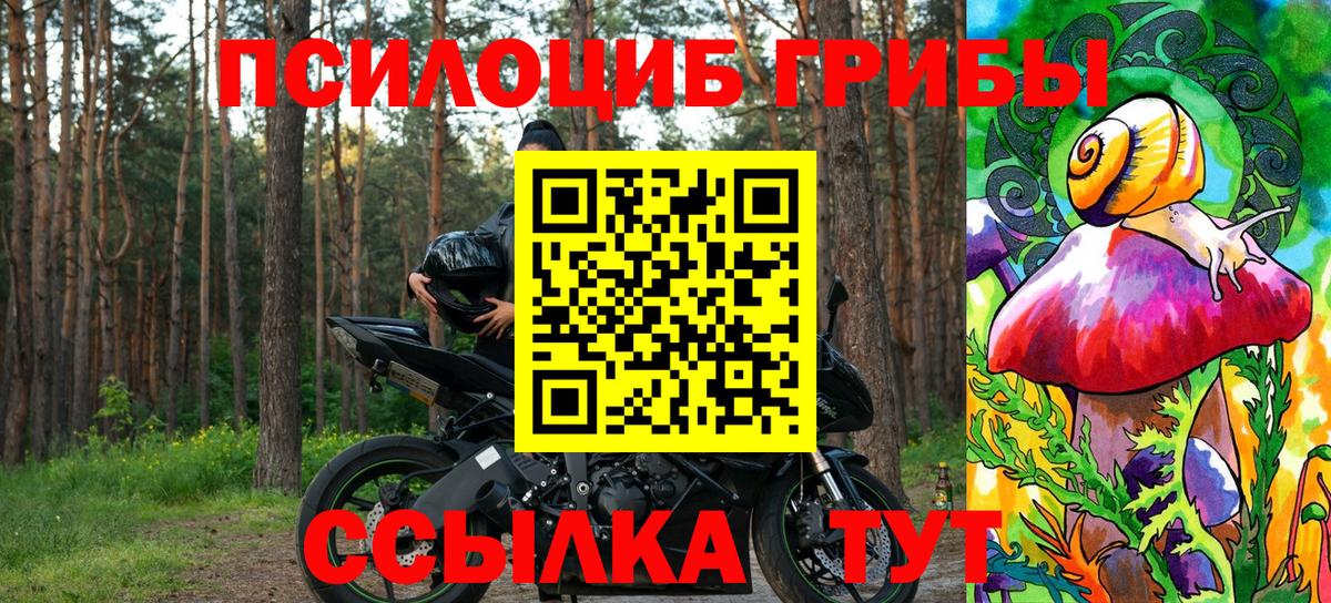 Узловая  Псилоцибиновые грибы GOLDEN TEACHER  Вход с VPN  Галлюциногенные грибы MAGIC MUSHROOMS 