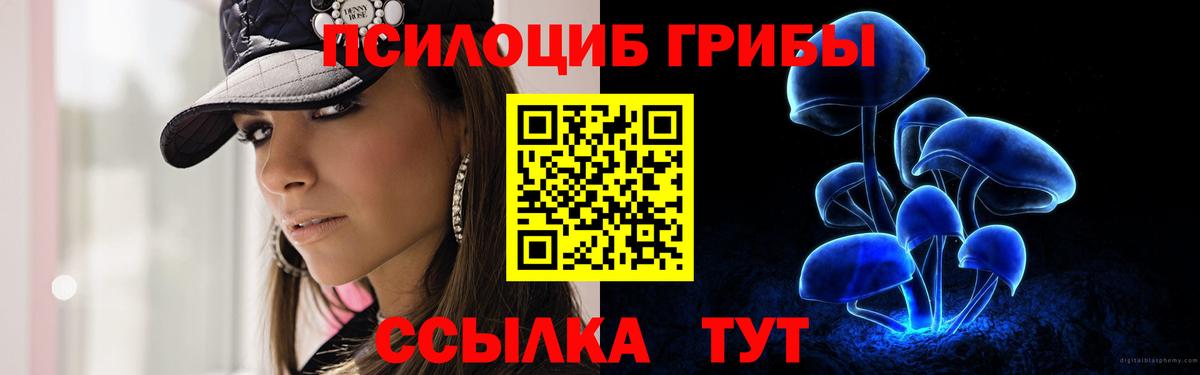Псилоцибиновые грибы мицелий Узловая