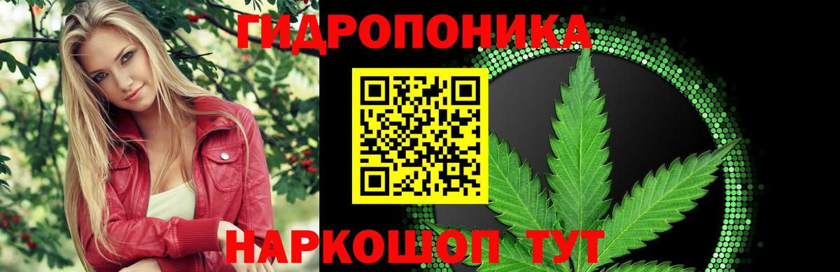 Бошки марихуана план  Вход с VPN  Марихуана White Widow  Бошки Шишки LSD WEED  Узловая 